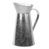 Metal Jug