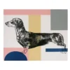 Sausage Dog Canvas