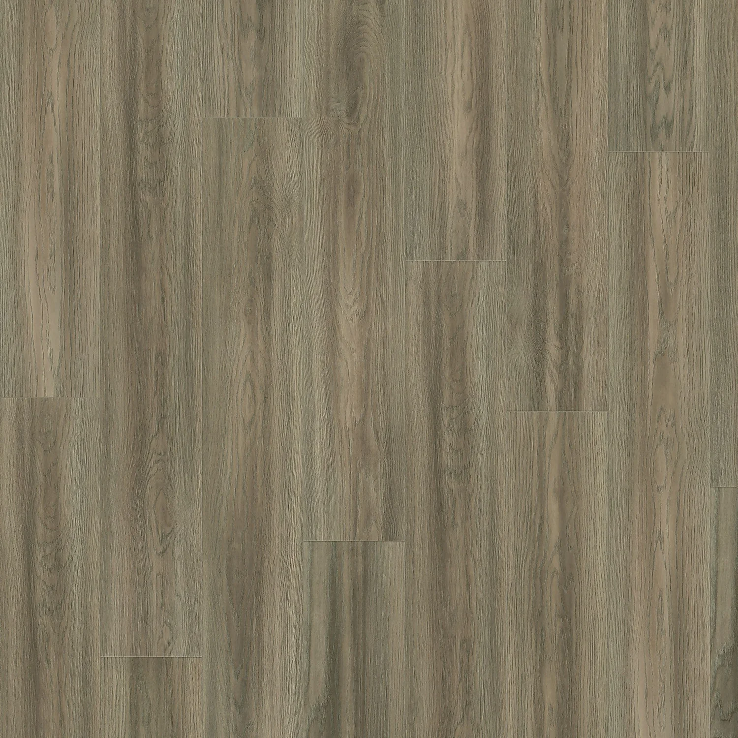 EGGER HOME Light Grey Bolton Oak 8mm Aqua+ Laminate Flooring 2 EGGER HOME Light Grey Bolton Oak 8mm Aqua+ Laminate Flooring - Image 2