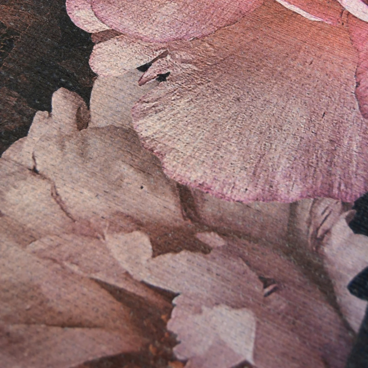 Opal Dark Floral Rug - 135x195cm 5 Opal Dark Floral Rug - 135x195cm - Image 5