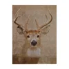 Stag Damask Wall Plaque - 30x40cm